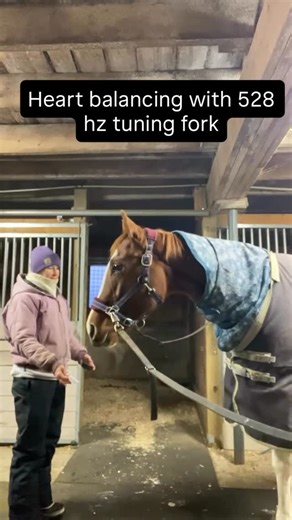 Biofield Tuning on Instagram: "Nervous systems enjoying sound therapy. ✨ Shared with permission, the lovely @brendabanning is a certified Biofield Tuning practitioner in Ottawa, Canada. She chose to work with our 528 Hz tuning fork to support regulation and coherence while tuning alongside this beautiful being. Animals often respond quickly to sound because they’re deeply attuned to subtle shifts in their environment. 🐴🍃 This is Biofield Tuning in action. Listening, responding, and supporting