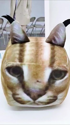 raise a floppa plush #raiseafloppa #raiseafloppagame #Halloween #fyp #plushie #plushtoys #stuffedplush #catplush