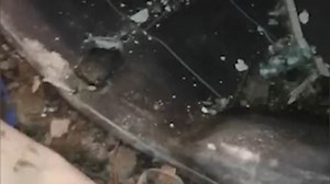 Filthy basement where huge rats get into council house