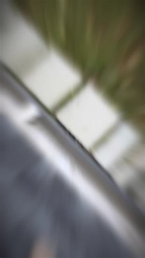 2.3K views · 3 comments | Gutter cleaning ASMR #guttercleaning #ASMR #doitright | Chad Lemmon | Facebook