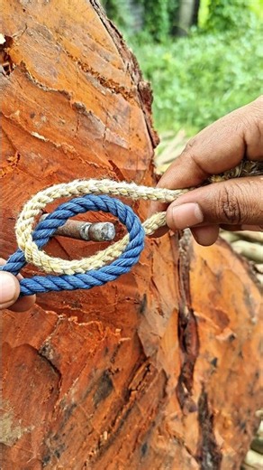 This Rope Trick Is Like Magic! 😱🪢 | Incredible Knot Technique #RopeMagic #MagicRopeTrick #RopeKnot
