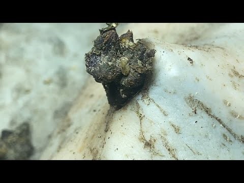 𝑻𝒉𝒆 𝑩𝒆𝒔𝒕 𝑹𝒆𝒎𝒐𝒗𝒊𝒏𝒈 𝑫𝒊𝒓𝒕 𝑼𝒏𝒅𝒆𝒓 𝑺𝒌𝒊𝒏 𝑰𝒔 𝑹𝒆𝒇𝒓𝒆𝒔𝒉𝒊𝒏𝒈 𝑨𝒏𝒅 𝑹𝒆𝒍𝒂𝒙𝒊𝒏𝒈 #90015618