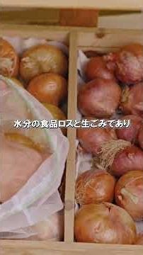 日本はゴミに２．４兆円使っている！？＃環境問題＃食品ロス＃ゴミ問題＃税金 #雑学