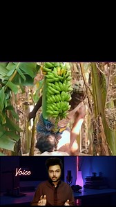 14K views · 199 reactions | ⚠️ Disclaimer: This video is made for educational and informational purposes only. We do not own any copyrights to the footage, music, or images used in this video. All rights belong to the original creators and production studios. No copyright infringement intended. If you are a copyright owner and have any issues, please contact us — we will take appropriate action immediately. | Al voice | Facebook