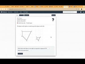 Scaling Figures Delta Math Help