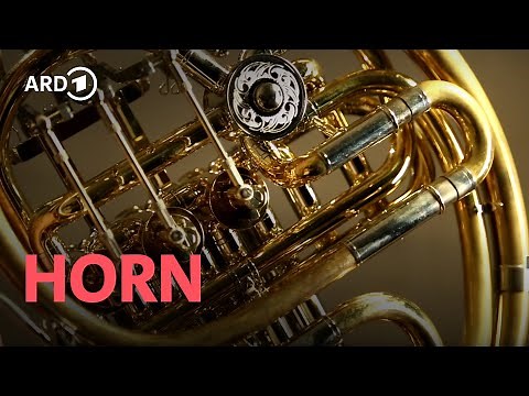 Horn | Horst Ziegler | Instrumente im Symphonieorchester | ARD Klassik