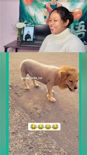 Bhayankar garmi hai bhai 🥵🐶 #funnydogs #desicomedy #viralshorts #dogeshbhai