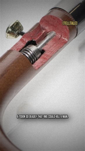 2.9K views · 69 reactions | The Umbrella That Killed A Man #thetelltaleoriginal #mystery #truecrime #assassination #ricin #KGB #bulgaria | Telltale | Facebook