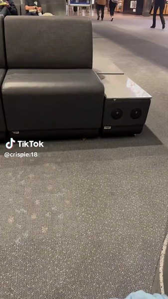 Stuart Little learned to fly a plane