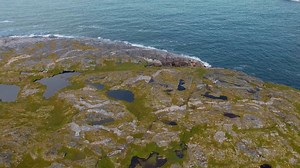 17K views · 436 reactions | Put some space between you and the modern world. | Newfoundland & Labrador Tourism | Facebook