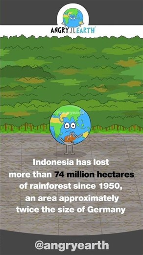 Save The Rainforest