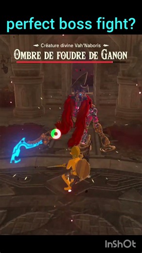 perfect boss fight? #zelda #botw #speedrun #glitchmoments