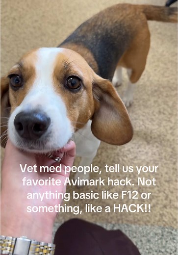 Top Avimark Hacks for Veterinarians to Simplify Tasks