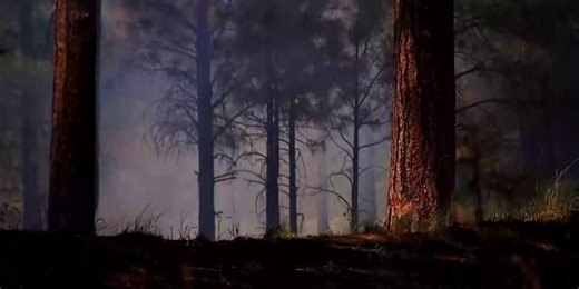 Why Arizona firefighters are concerned about an earlier, more intense fire season