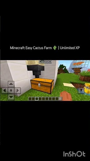Minecraft Easy Cactus Farm 🌵 | Unlimited XP & Green Dye!
