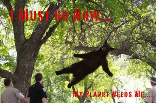 Le mème, ou l’art du détournement humoristique sur Internet