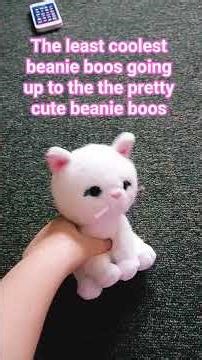 the least coolest beanie boos going up to the pretty cute beanie boos