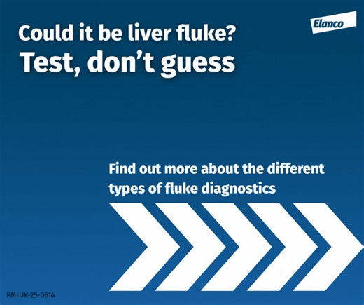 Changing weather patterns mean fluke risk timings will vary year on year for every farm. The easiest and most reliable way to understand the fluke risk on your farm is via diagnosis. There are several ways to diagnose a fluke challenge in sheep and cattle, with different tests suitable for different situations. Working closely with your vet is recommended as they will be able to advise which tests you should be carrying out. Scroll to find out more about fluke diagnoses using the following metho
