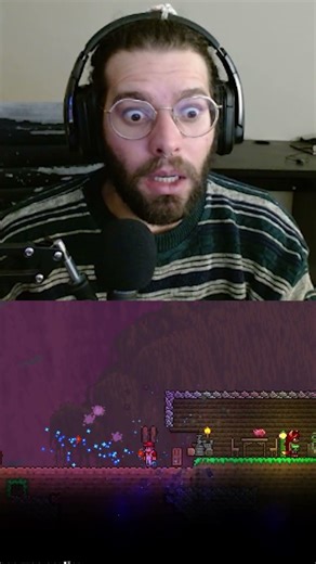 I lived a canonical event in Terraria