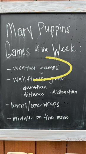 Rainy Day Games Part One #marypuppinsdogtraining #gamesbaseddogtraining #rainydaygames #sandiegodogtrainer #weathergames