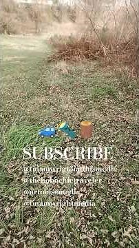 🚙🔦DEEPiN YOUR WONDER OF THESE🪵WHERE I PARK#vanlife #art #beauty #vlog #woods #video #shorts