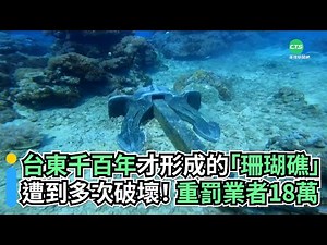 台東千百年才形成的「珊瑚礁」遭到多次破壞！重罰業者18萬｜👍小編推新聞 20220808