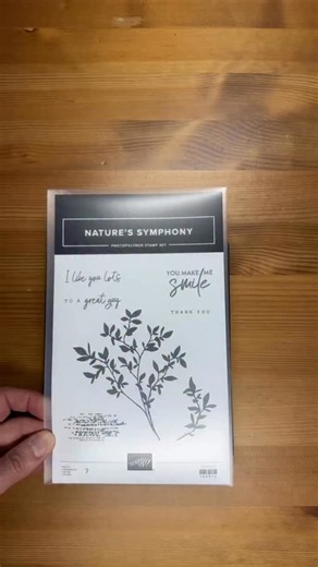 The Stampin’ Up! Nature’s Symphony stamp set bundle has some awesome dies and images! Love the coordinating patterned paper from the Nature Walk Designer Series Paper too! Stop by my blog today (linked in my bio) for all of the details about this project and subscribe to get my daily blog posts or weekly newsletter with all of my projects there! #naturessymphony #youmademesmile #stampinup #handmade #handmadecard cardmakingtutorial papercraft cardmaking patternedpaper foldablepapercrafts stampinu