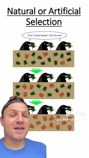 Evolution Quiz - Test Your Knowledge on Evolution