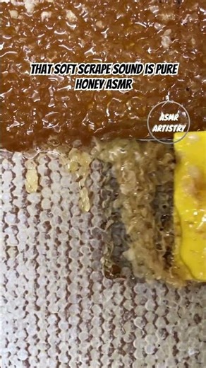 Satisfying Honey Harvesting ASMR — Uncapping Honeycomb in Prizren, Kosovo