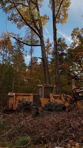 1.6K views · 43 reactions | Logger work with Tigercat equipment 漢量 . .​ .​ #woodwork #trees #cafe #history #riverlandlogging #logging #tigercat720 #operadoresdemaquinas #loggingindustry #JohnDeere #forest #harvest #satisfaction #Maquina #jonhdeere #colheita #stihl661 #hilightseveryonefollowers2025 #usa #beautysalon #logginghistory #ThrowbackThursday #pacificnorthwest #lumberjack #vintagephotography | Jazlyn Smith | Facebook