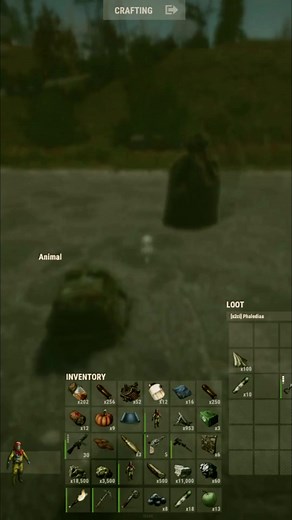 AnimalsChillin on TikTok