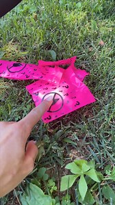 44K views · 46 reactions | Color changing Barbie This original video was produced by Network Media and MC Has Fun. | Tips, Tricks & Funny Clips | Facebook