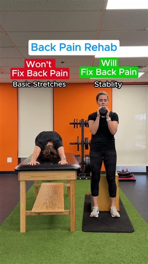 If hot packs fixed back pain, nobody would have chronic back pain.