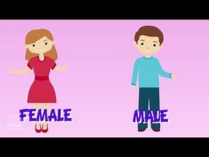 The Human Reproduction Educational Video for Kids