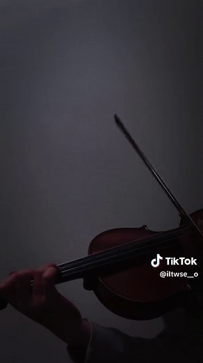 ヴィヴァルディ 四季より冬 #中2 #14歳 #violin #バイオリン #四季 #冬 #おすすめ #fyp #fypシ