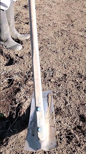 Don't throw away tangerine peels! They can be used as fertilizer [Organic farmer's advice! How to...