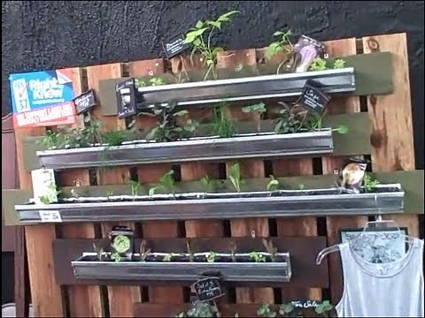 Vertical Gardening in Rain Gutters So You Can Grow Food Anywhere
