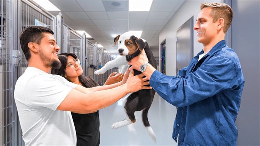 I Adopted EVERY Dog in a Dog Shelter