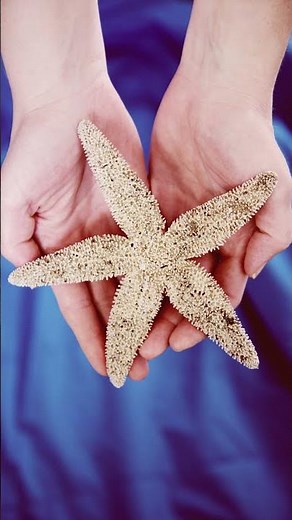 🔥 Strange Facts You Won’t Believe