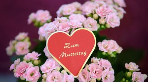 WhatsApp-Grüße zum Muttertag 2022: Die schönsten Sprüche zum Verschicken