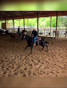 2.1K views · 54 reactions | ✯퐂퐢퐧퐜퐡 퐑퐒퐍퐂 퐅퐞퐚퐭퐮퐫퐞퐝 퐓퐫퐚퐢퐧퐞퐫✯ K/R Cow...