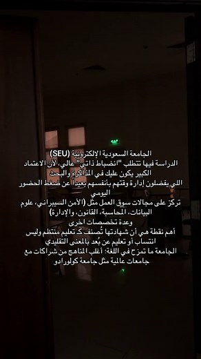 الدراسة في الجامعة السعودية الإلكترونية: فرص وتخصصات