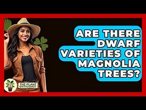 Are There Dwarf Varieties Of Magnolia Trees? - The Plant Enthusiast