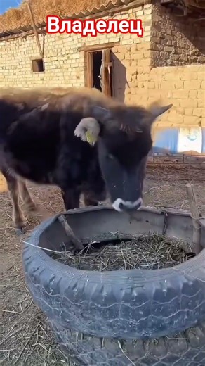 11 марта 2026 г.