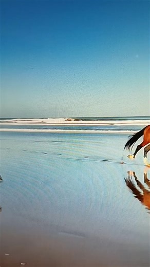 Rawhide #rawhide | rawhide