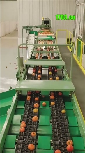 AI-Powered Machines Revolutionize Produce Sorting
