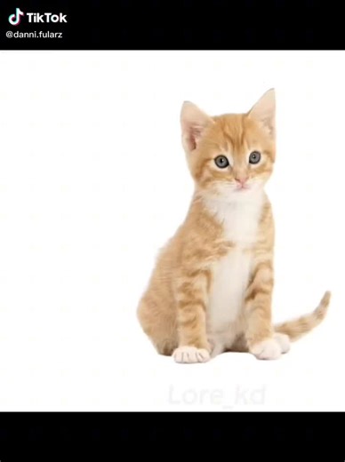 🔪MINI JASON/ JAY JAY2. 0🔪 (@minijason6)’s videos with original sound - 🔪MINI JASON/ JAY JAY2. 0🔪