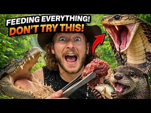 FEEDING ALL MY ZOO ANIMALS!