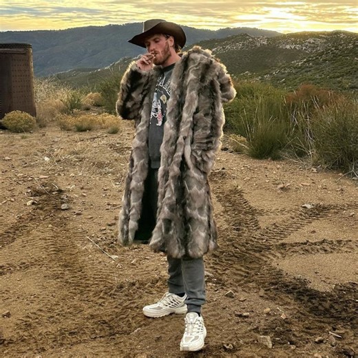Logan Paul's net worth: How wrestling, boxing and YouTube make up his empire