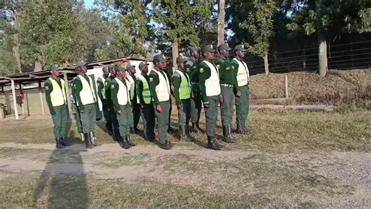 Top Security Services and Foot Drill Training Insights